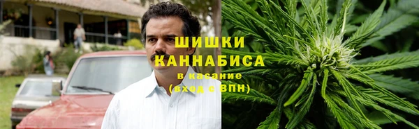 дмт Алзамай