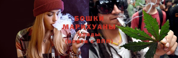 PSILOCYBIN Алексеевка
