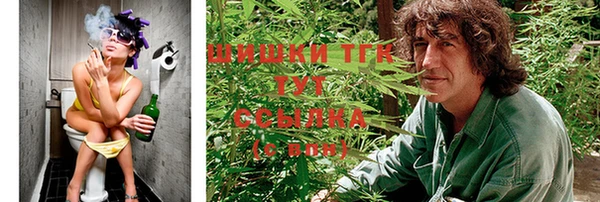 PSILOCYBIN Алексеевка