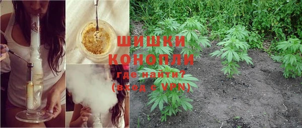 PSILOCYBIN Алексеевка