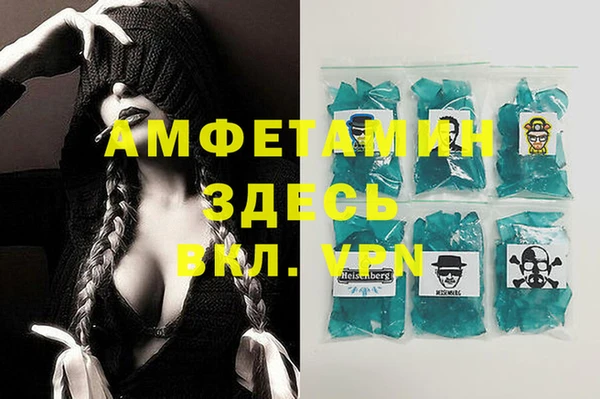 дмт Алзамай