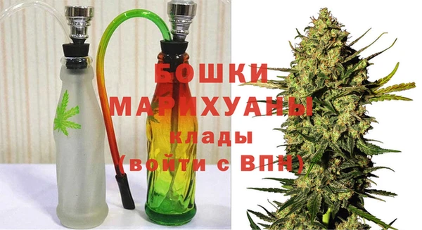 PSILOCYBIN Алексеевка