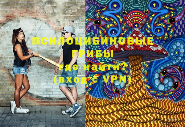 PSILOCYBIN Алексеевка
